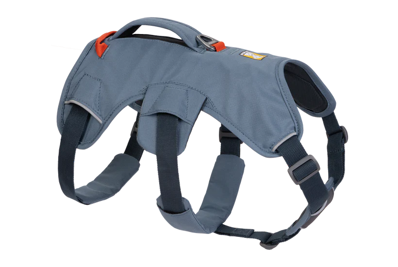 Harnesses for Dogs with Special Needs: A Comprehensive Support Guide