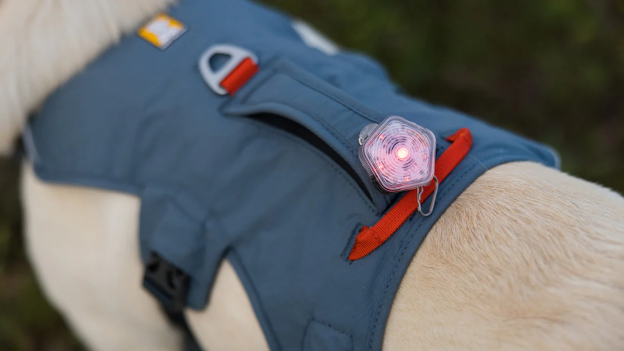Premium vs Budget Dog Harness Analysis: Cost-Value Assessment Guide