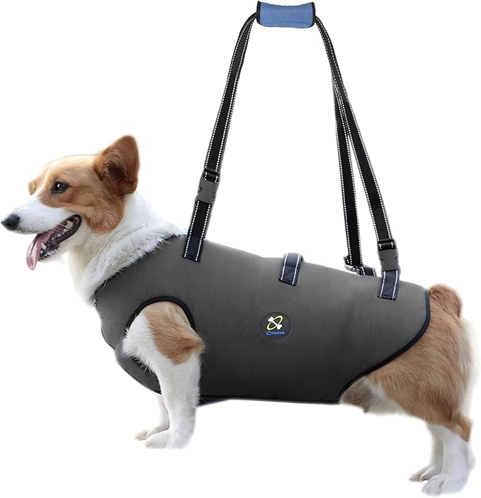 Orthopedic Dog Harness Selection Guide: Must Read for Joint Health in 2025 Coodeo Dog Lift Harness