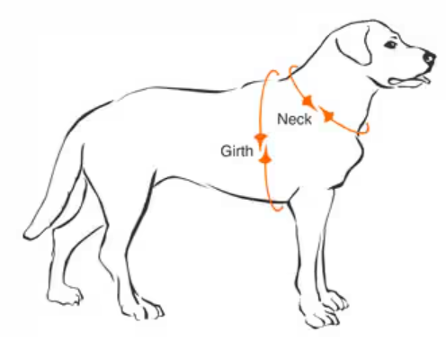 The design impact of a Dog Training Harness in 2025