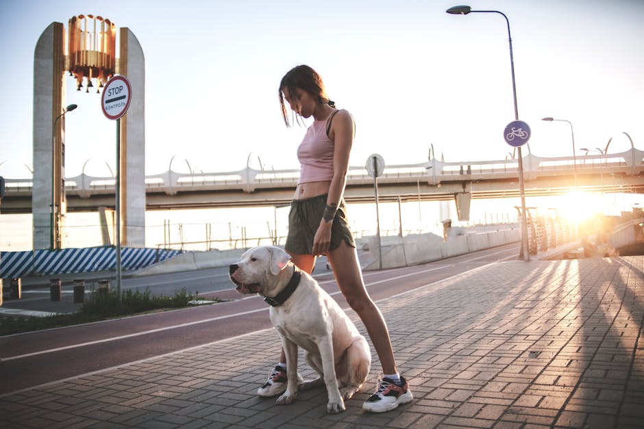 Dog Walking Safety: Essential Tips Every Owner Should Know Woman with dog on city street at sunset with modern structures and warm hues.