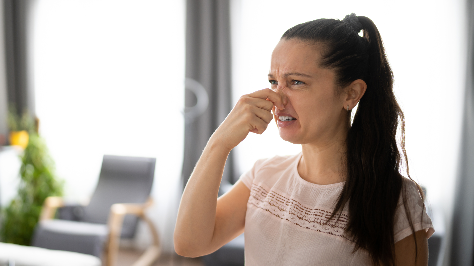 Guide to Eliminate Dog Smell: Fresh Home Solutions How to Eliminate Dog Smell: Expert Guide & Solutions
