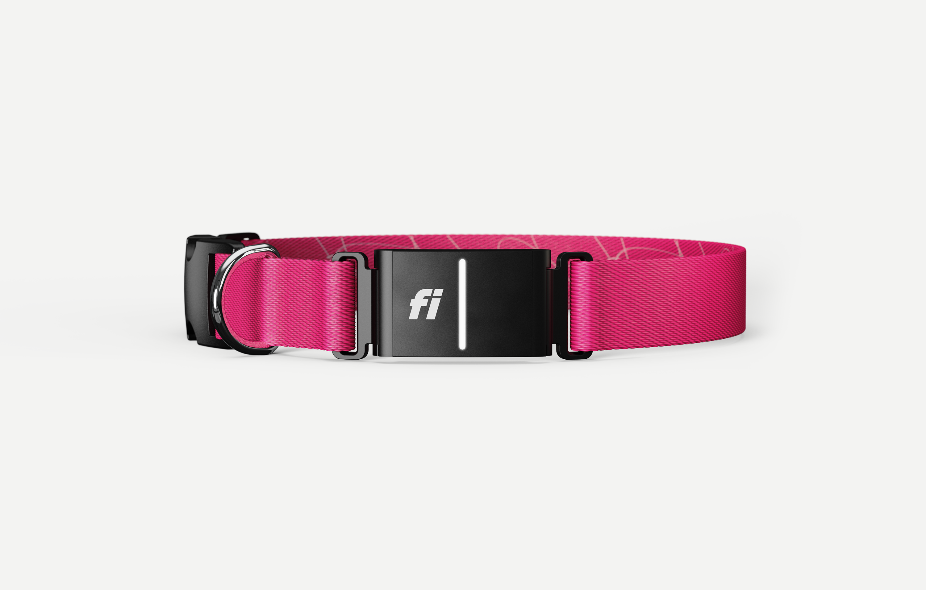 Best GPS Dog Collar and Tracking Devices in 2025: The Complete Guide