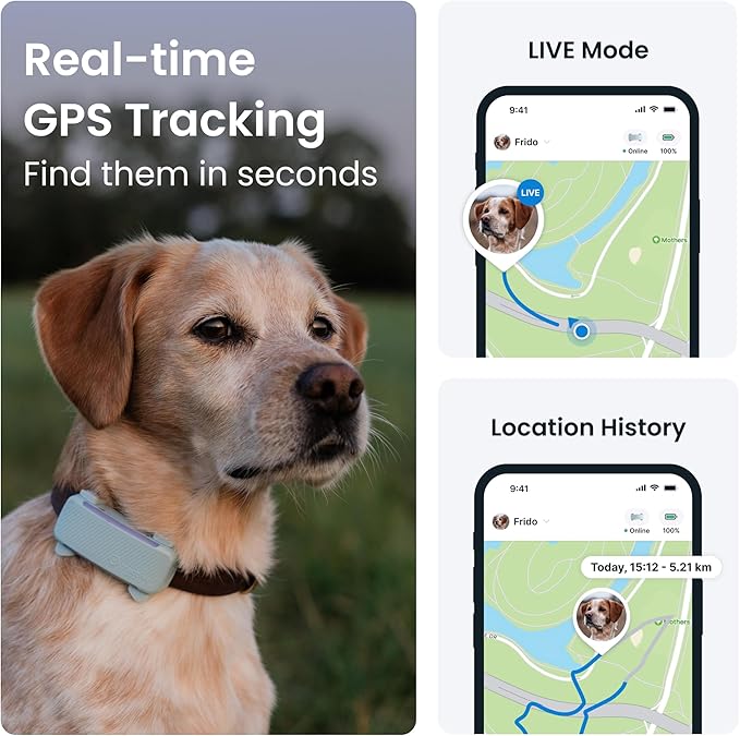 10 Reasons Why a GPS Dog Tracker is a Must-Have for Every Pet Owner Tractive GPS dog tracker