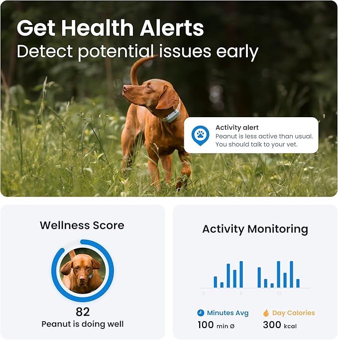 10 Reasons Why a GPS Dog Tracker is a Must-Have for Every Pet Owner Tractive GPS dog tracker
