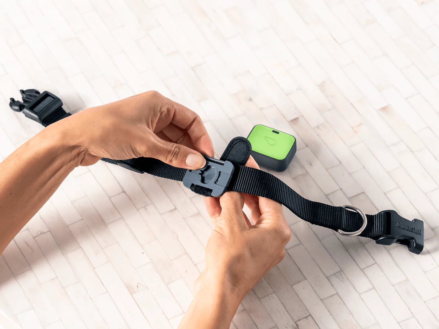 GPS vs Radio: Choose the Right Hunting Dog GPS Tracker Whistle™ Go Explore 2.0 Smart Tracker
